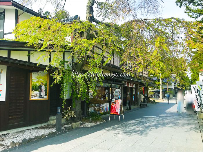 一人旅にぴったりの風景が広がる松島の街並み