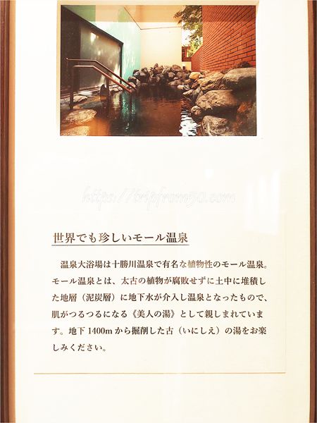 壁に掛けられている北海道ホテルの露天風呂の写真
