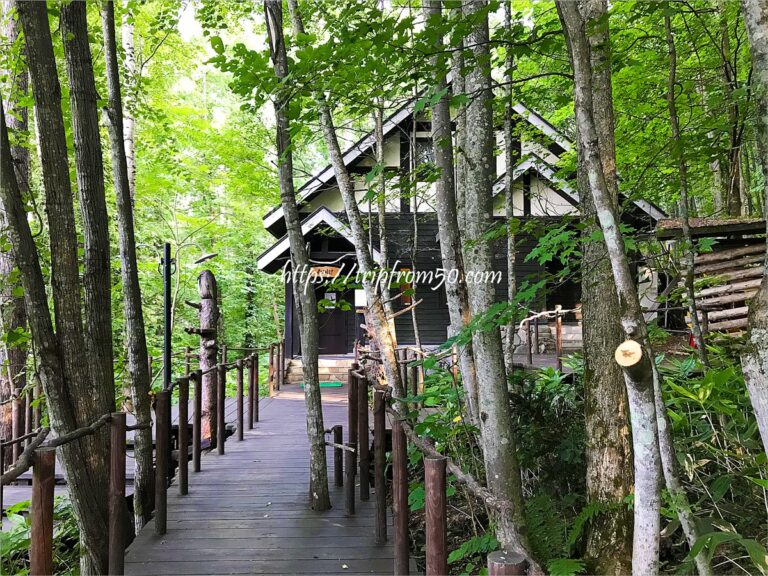 優しい時間ってこう言うこと！富良野の『森の時計カフェ』が人気のワケは？